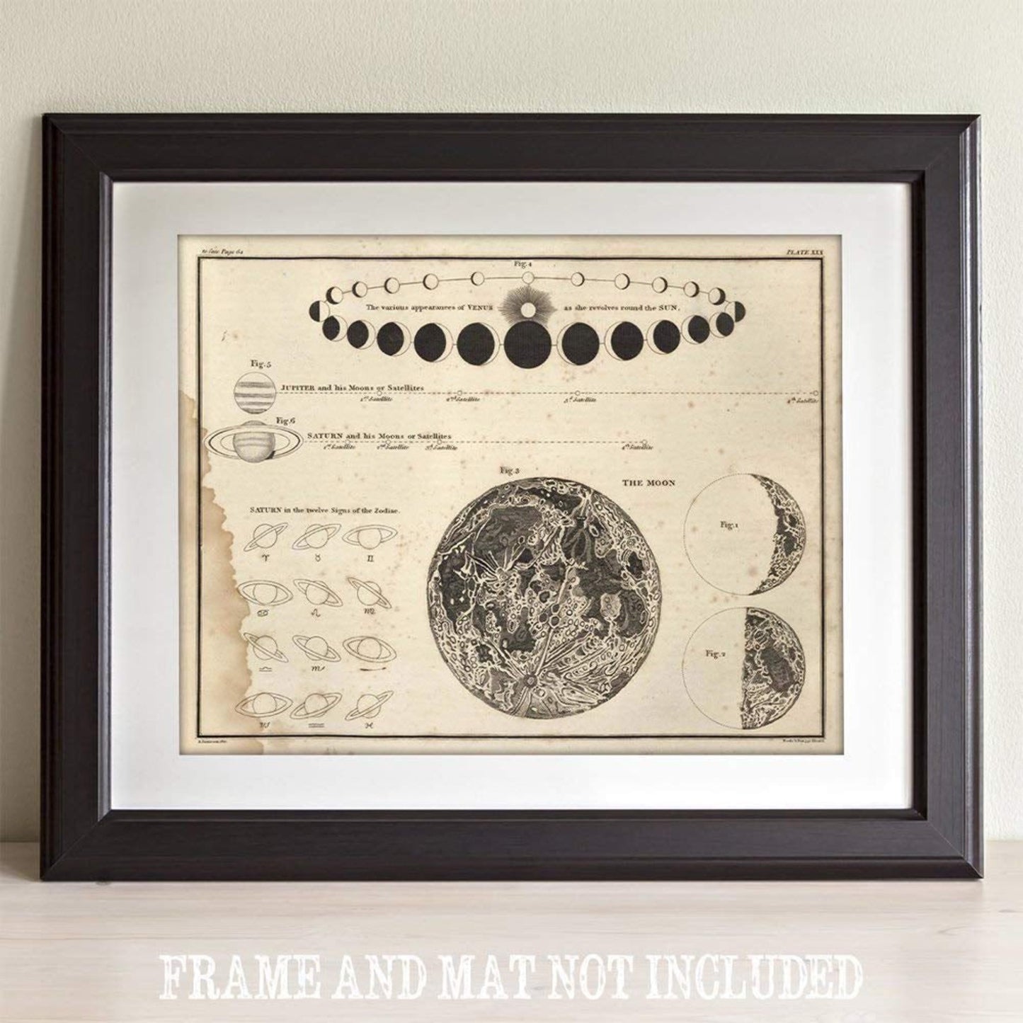 Astronomy Poster - Celestial Phases - 11x14 -Academia - StudySphere