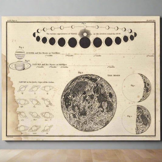 Astronomy Poster - Celestial Phases - 11x14 -Academia - StudySphere