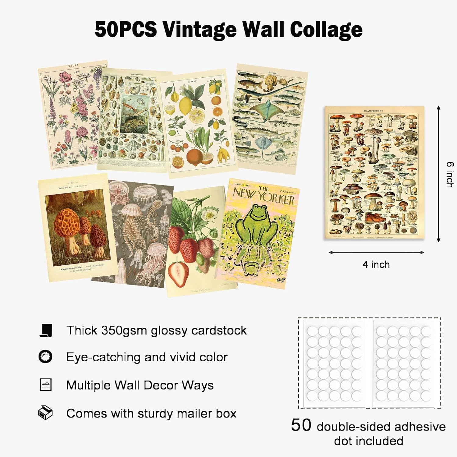 "Set of 50 Vintage Wall Collage Kit Aesthetic Pictures for Bedroom Decor - 4"X6" Coquette Photo Collage Kit for Dorm, Farmhouse Botanical Wall Art - Ideal for Teen Girls" - StudySphere