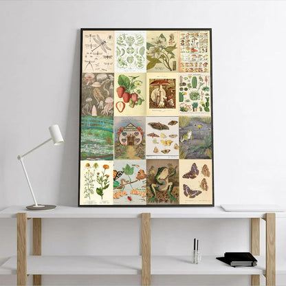 "Set of 50 Vintage Wall Collage Kit Aesthetic Pictures for Bedroom Decor - 4"X6" Coquette Photo Collage Kit for Dorm, Farmhouse Botanical Wall Art - Ideal for Teen Girls" - StudySphere