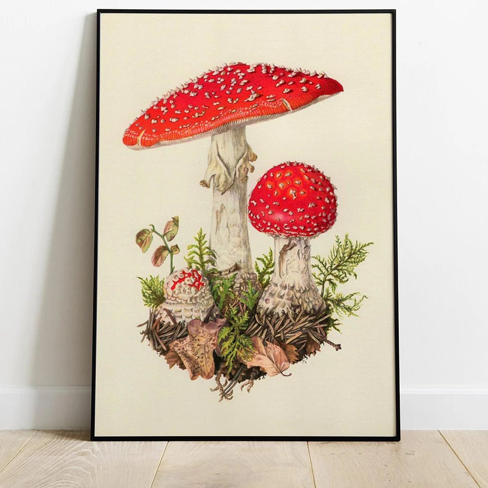 Vintage Mushroom Poster and Prints Canvas Art Painting Shroom Wall Art 30x40CM, unframed. - StudySphere